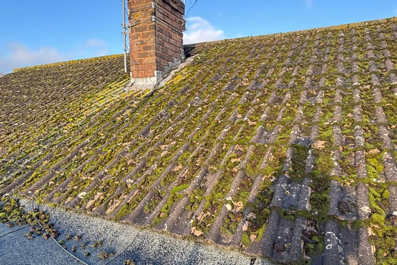 roof_clean_stourport-on-severn_before01