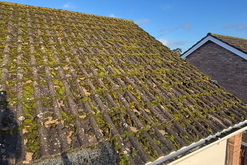 roof_clean_stourport-on-severn_before02